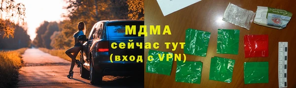 индика Костерёво