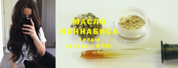 гидра Корсаков