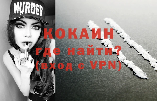 индика Костерёво