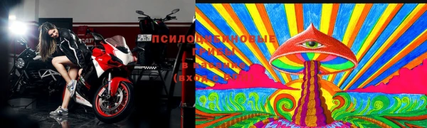 индика Костерёво