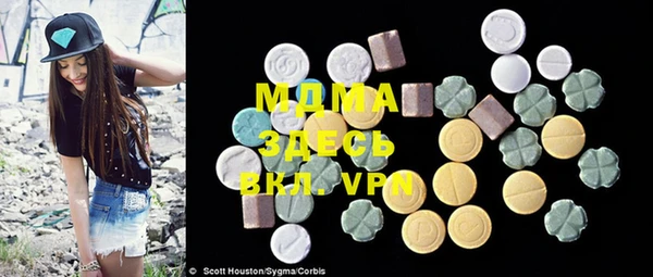 индика Костерёво