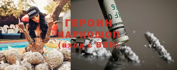 гидра Корсаков