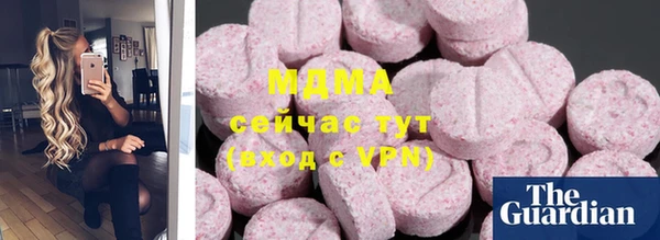 индика Костерёво
