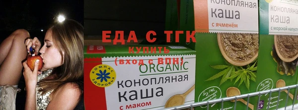 гидра Корсаков