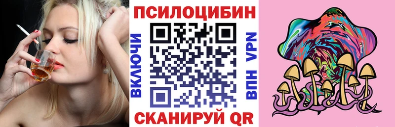 Купить где  Советская Гавань  Псилоцибиновые грибы Cubensis 